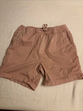 American Eagle Outfitters Men's Drawstring Shorts in Dusty Rose